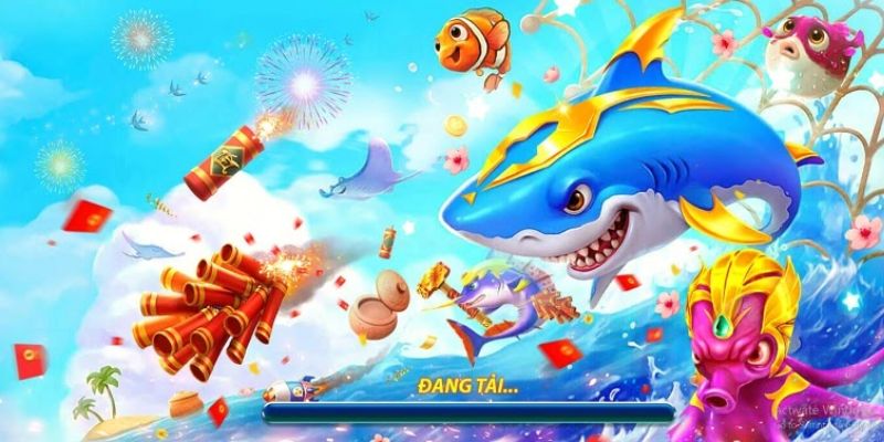 Mẹo săn cá cực hay ho cho ngư thủ nên tham khảo