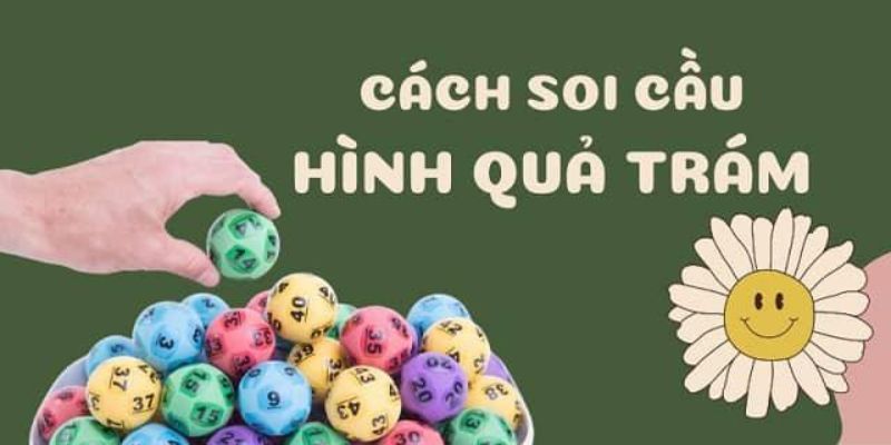 Kinh nghiệm tham gia soi cầu hình quả trám chi tiết nhất